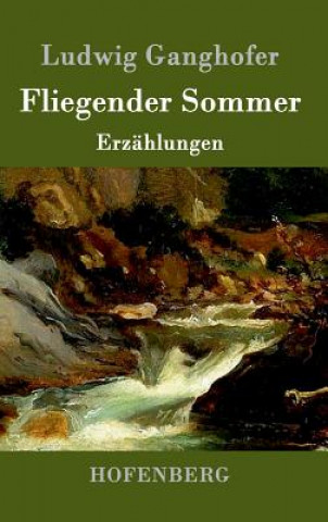 Książka Fliegender Sommer Ludwig Ganghofer