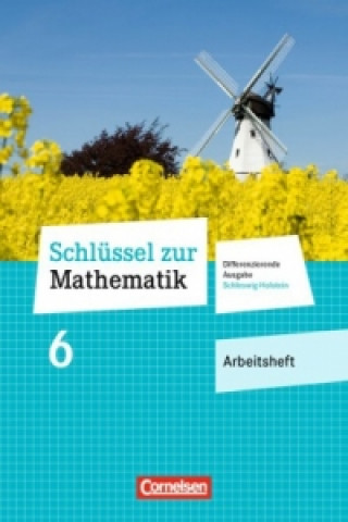 Kniha Schlüssel zur Mathematik - Differenzierende Ausgabe Schleswig-Holstein - 6. Schuljahr Wolfgang Hecht