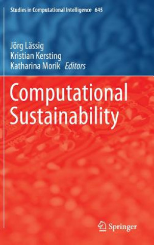 Buch Computational Sustainability Joerg Laessig