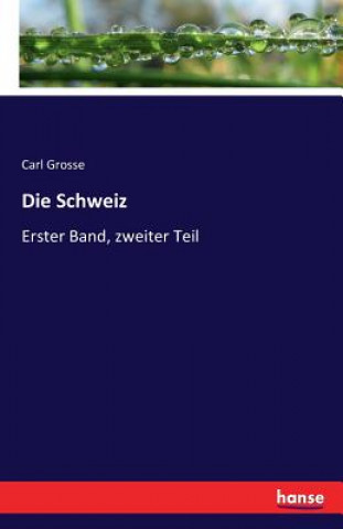 Könyv Schweiz Carl Grosse