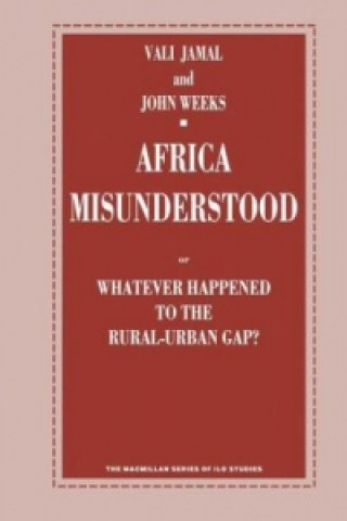Könyv Africa Misunderstood Vali Jamal