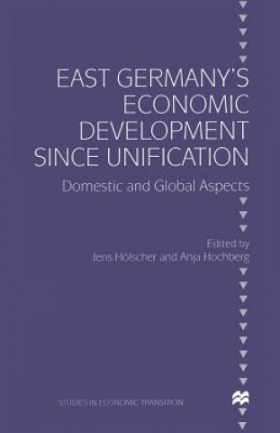 Könyv East Germany's Economic Development since Unification Anja Hochberg