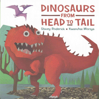 Kniha Dinosaurs From Head to Tail Stacey Roderick