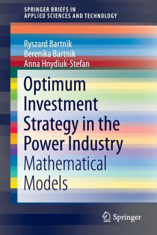 Könyv Optimum Investment Strategy in the Power Industry Ryszard Bartnik