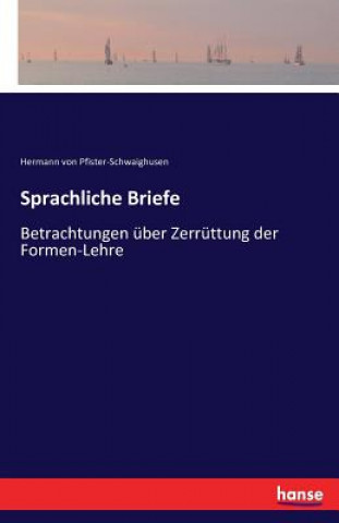 Kniha Sprachliche Briefe Hermann Von Pfister-Schwaighusen