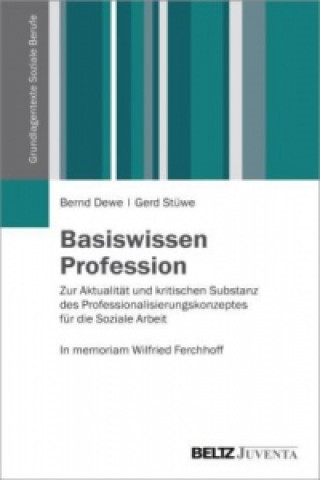 Książka Basiswissen Profession Bernd Dewe