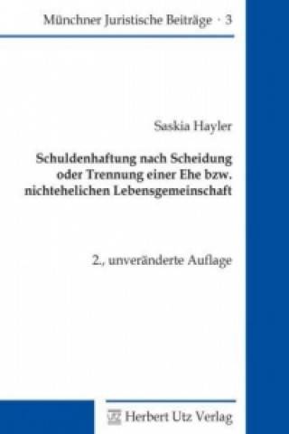 Kniha Schuldenhaftung nach Scheidung oder Trennung einer Ehe bzw. nichtehelichen Lebensgemeinschaft Saskia Hayler