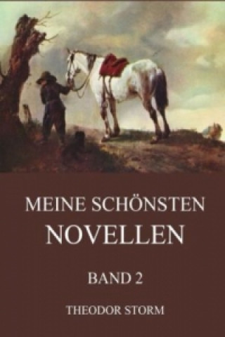 Book Meine schönsten Novellen, Band 2 Theodor Storm