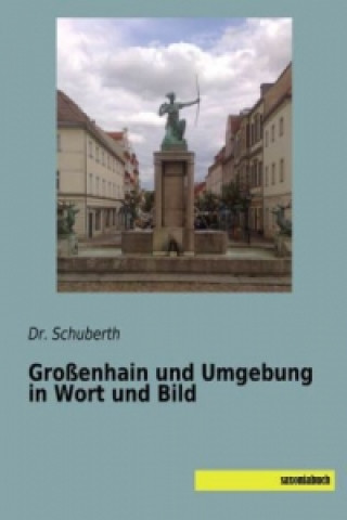 Buch Großenhain und Umgebung in Wort und Bild Schuberth