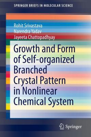 Könyv Growth and Form of Self-organized Branched Crystal Pattern in Nonlinear Chemical System Rohit Srivastava
