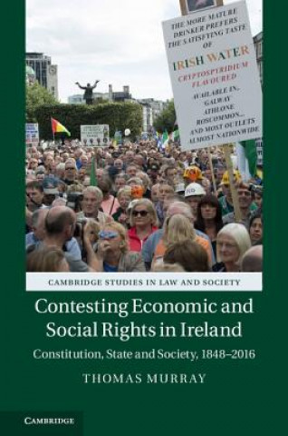 Kniha Contesting Economic and Social Rights in Ireland Thomas Murray