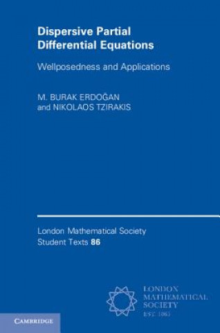 Książka Dispersive Partial Differential Equations 