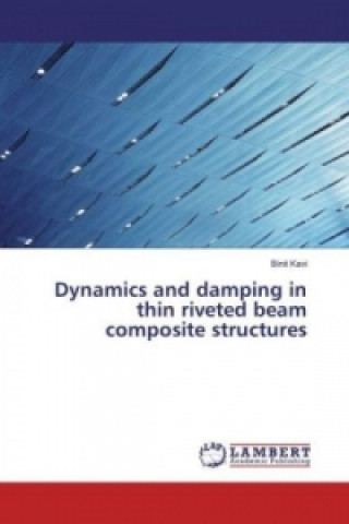 Book Dynamics and damping in thin riveted beam composite structures Binit Kavi