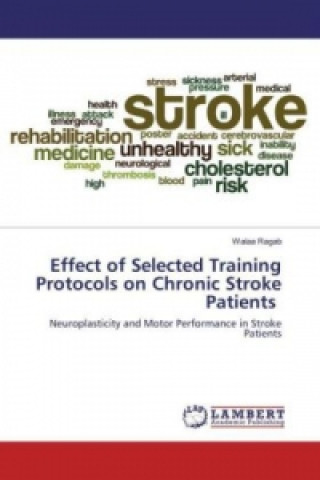 Kniha Effect of Selected Training Protocols on Chronic Stroke Patients Walaa Ragab