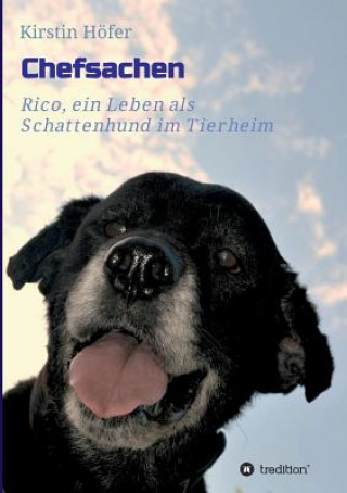 Kniha Chefsachen Kirstin Hofer