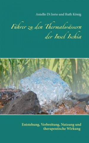 Könyv Fuhrer zu den Thermalwassern der Insel Ischia Aniello Di Iorio