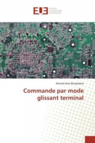 Könyv Commande par mode glissant terminal Ahmed Islem Benghalem