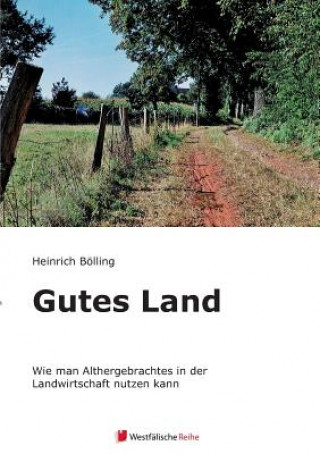 Kniha Gutes Land Heinrich Bolling