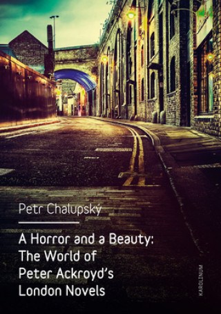 Könyv Horror and a Beauty Petr Chalupský