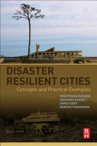 Kniha Disaster Resilient Cities Yoshitsugu Hayashi