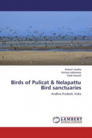 Könyv Birds of Pulicat & Nelapattu Bird sanctuaries Bubesh Guptha