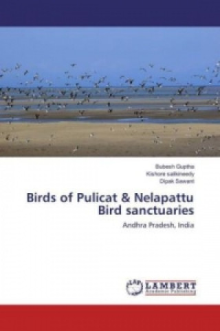 Buch Birds of Pulicat & Nelapattu Bird sanctuaries Bubesh Guptha