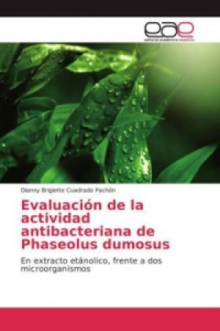 Kniha Evaluación de la actividad antibacteriana de Phaseolus dumosus Dianny Brigiette Cuadrado Pachón