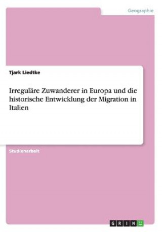Könyv Irregulare Zuwanderer in Europa und die historische Entwicklung der Migration in Italien Tjark Liedtke