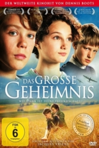 Filmek Das große Geheimnis, 1 DVD Dennis Bots