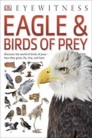 Книга Eagle & Birds of Prey DK