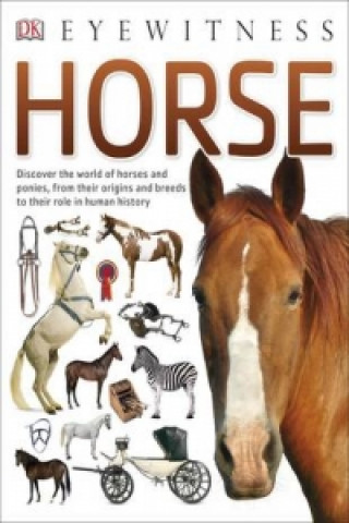 Kniha Horse DK