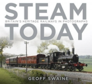 Buch Steam Today Geoff Swaine