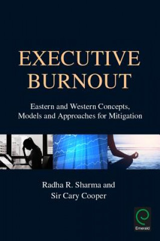 Kniha Executive Burnout Radha R. Sharma