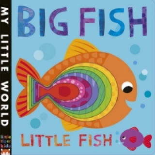 Könyv Big Fish, Little Fish Fhiona Galloway