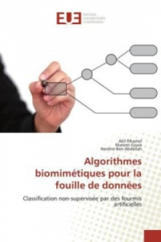 Carte Algorithmes biomimétiques pour la fouille de données Akil Elkamel