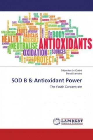 Carte SOD B & Antioxidant Power Sébastien Le Quéré
