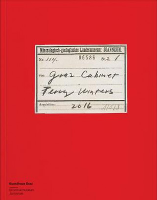 Kniha Terry Winters Kenneth Goldsmith