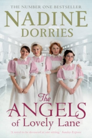 Книга Angels of Lovely Lane Nadine Dorries