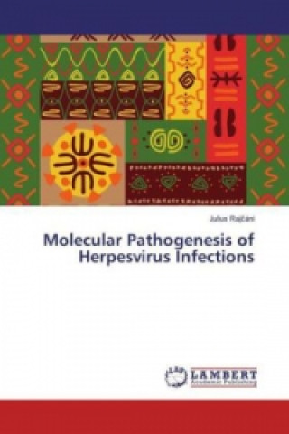Könyv Molecular Pathogenesis of Herpesvirus Infections Julius Rajcáni