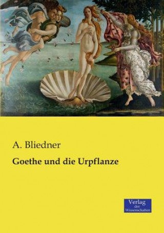 Könyv Goethe und die Urpflanze A Bliedner
