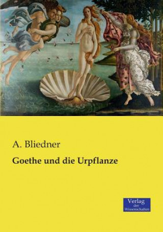 Knjiga Goethe und die Urpflanze A Bliedner