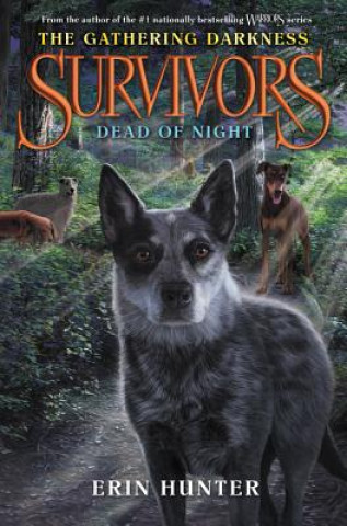 Książka Survivors: The Gathering Darkness - Dead of Night Erin Hunter
