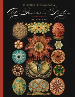 Könyv Ernst Haeckel  Art Forms in Nature Coloring Book Ernst Haeckel