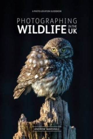 Kniha Photographing Wildlife in the UK Andrew Marshall