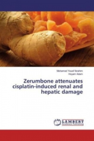 Könyv Zerumbone attenuates cisplatin-induced renal and hepatic damage Mohamed Yousif Ibrahim