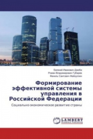 Kniha Formirovanie jeffektivnoj sistemy upravleniya v Rossijskoj Federacii Evgenij Ivanovich Dzjuba
