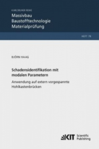Книга Schadensidentifikation mit modalen Parametern: Anwendung auf extern vorgespannte Hohlkastenbrücken Björn Haag