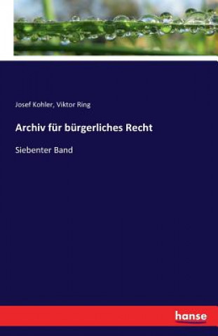 Kniha Archiv fur burgerliches Recht Josef (Wraige Und Kohler Pyrotechnik Oeg Schardenberg Au) Kohler