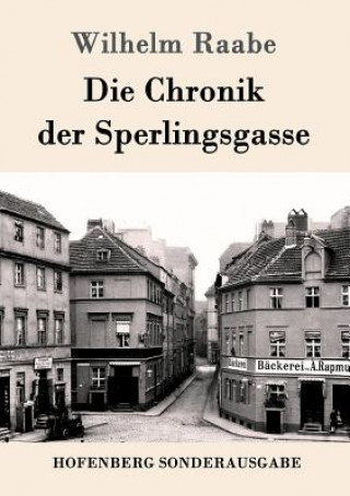 Kniha Chronik der Sperlingsgasse Wilhelm Raabe