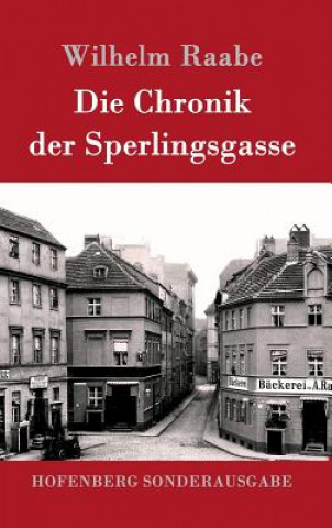 Βιβλίο Chronik der Sperlingsgasse Wilhelm Raabe